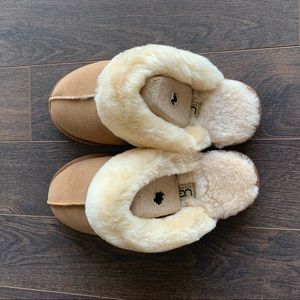 Ugg slippers (new)